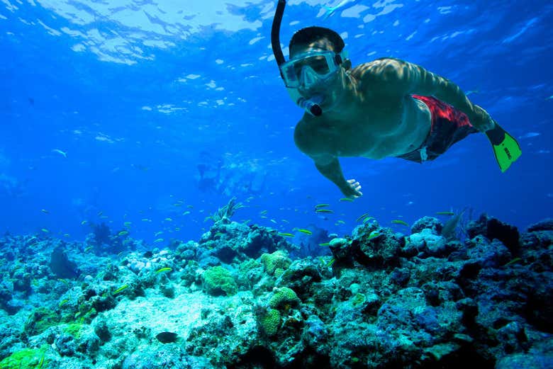 Enjoying the snorkeling activity