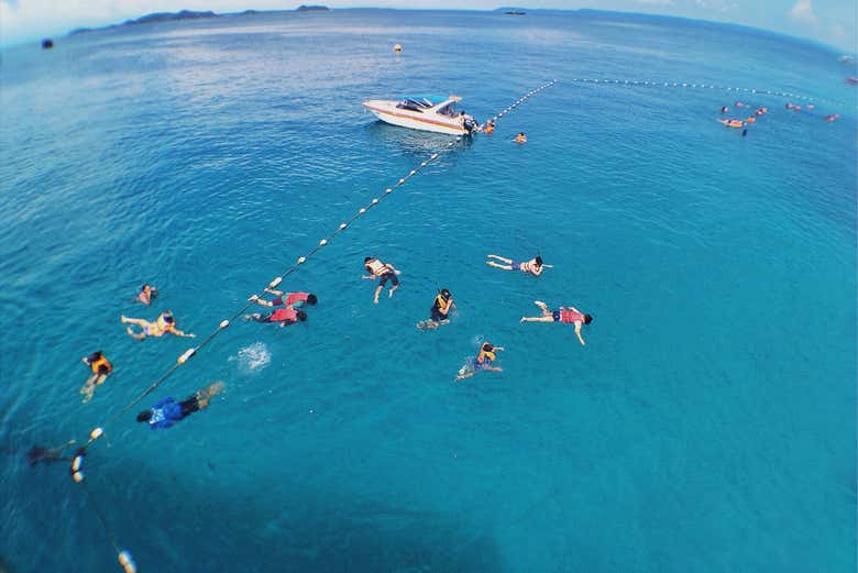 Snorkeling in gruppo a Key West