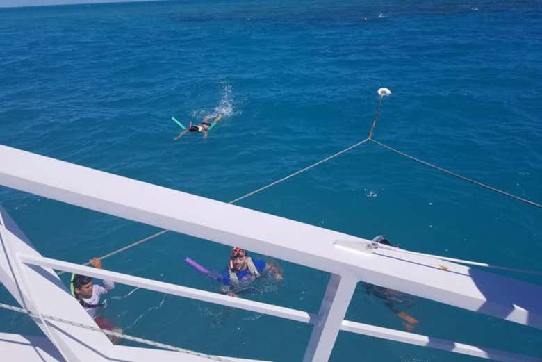 Snorkeling