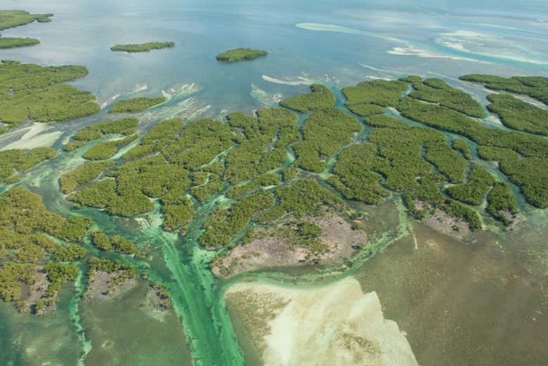 Paisajes de Cayo Hueso desde el aire