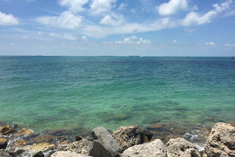 Panoramica del mare di Key West