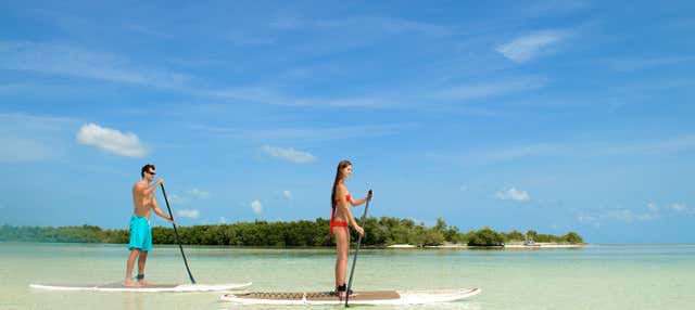 Kayak y paddle surf en Cayo Hueso + Snorkel