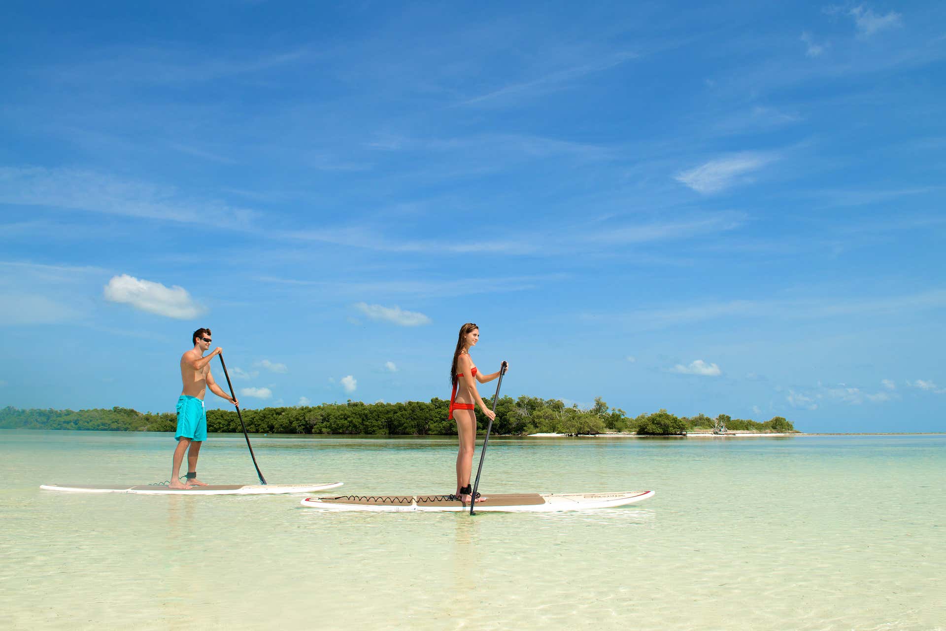 Kayak y paddle surf en Cayo Hueso + Snorkel