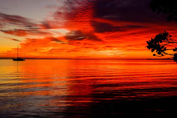 Paseo en barco al atardecer por Cayo Hueso