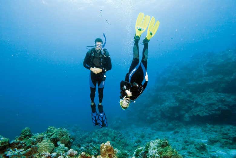 Explorando los arrecifes de coral de John Pennekamp