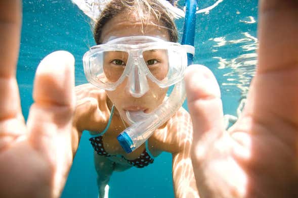 Snorkeling a Key Largo