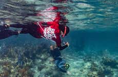 Snorkel en Isla Culebra