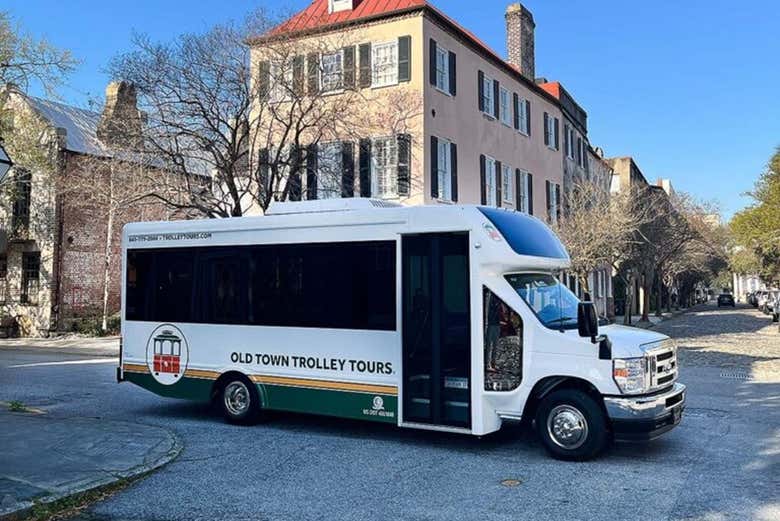 Iremos en un cómodo minibús con grandes ventanales