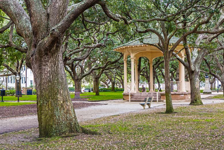 Visit the city's various green spaces