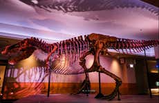 Field Museum of Natural History Tickets + Audio Guide