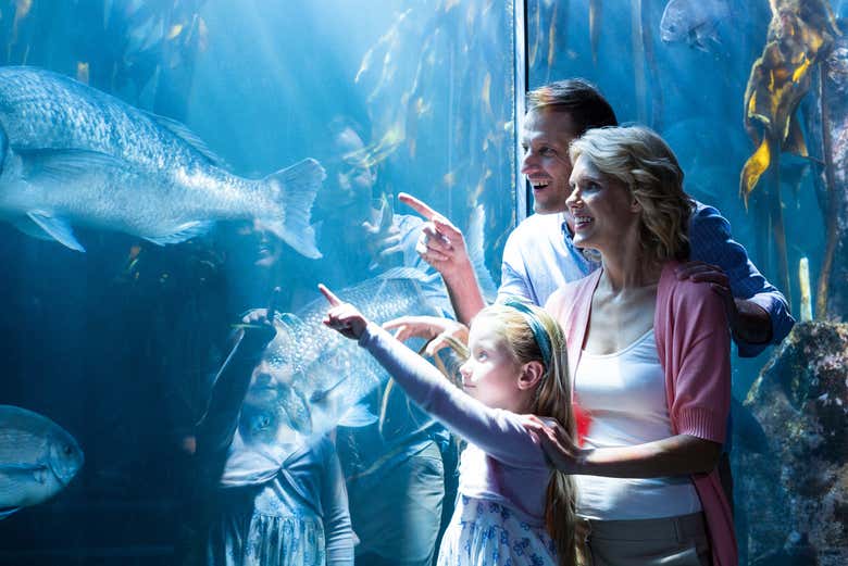 Shedd Aquarium