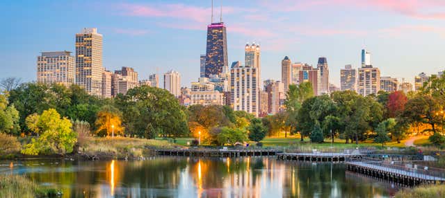 Tour privado por Chicago en vehículo