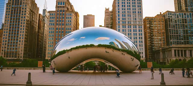 Visita guiada por Chicago + Subida a dos miradores