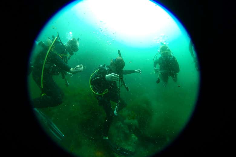 Immersione nel Rainbow River