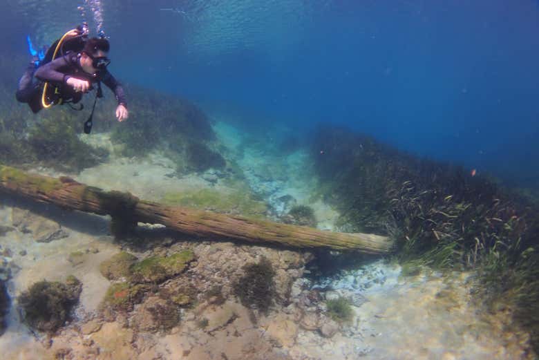 Rainbow River, Florida