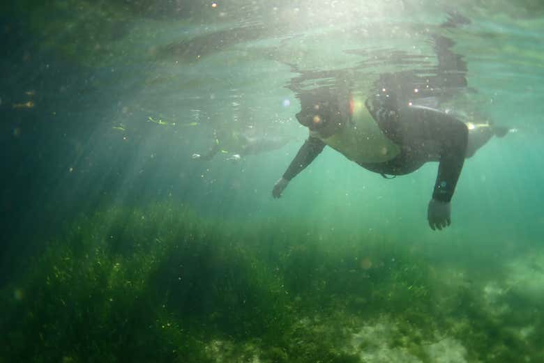 Mergulhando em Crystal River