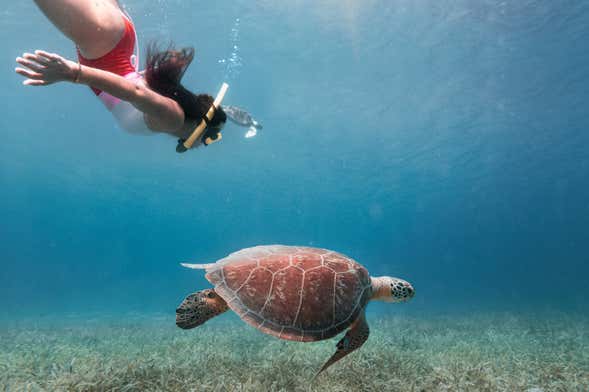 Culebra Snorkeling Tour