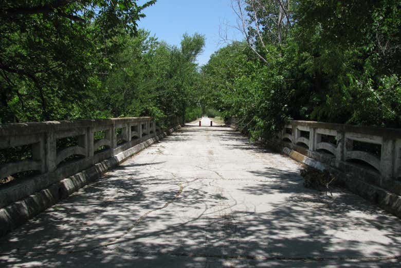 Tour privado por Dallas - Reserva online en Civitatis.com