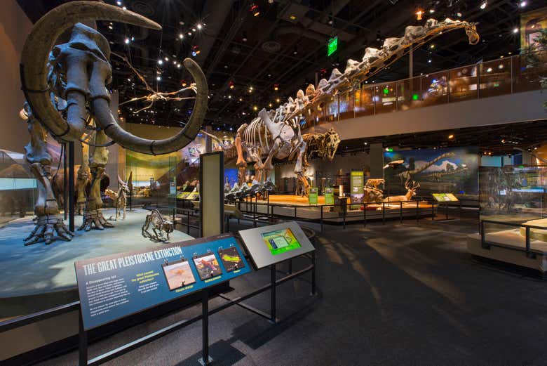 Exposição no Museu Perot de Natureza e Ciência
