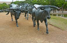 Dallas Highlights Tour