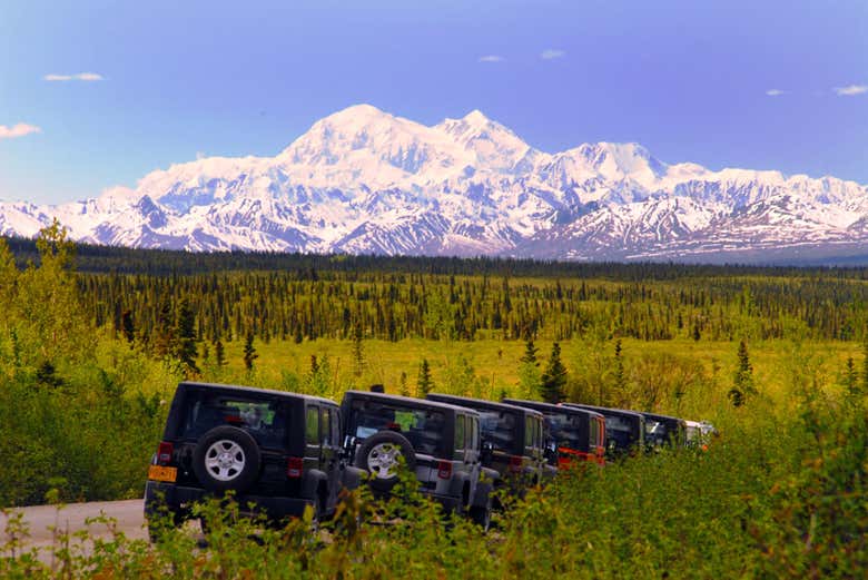 Paisajes de Denali Highway