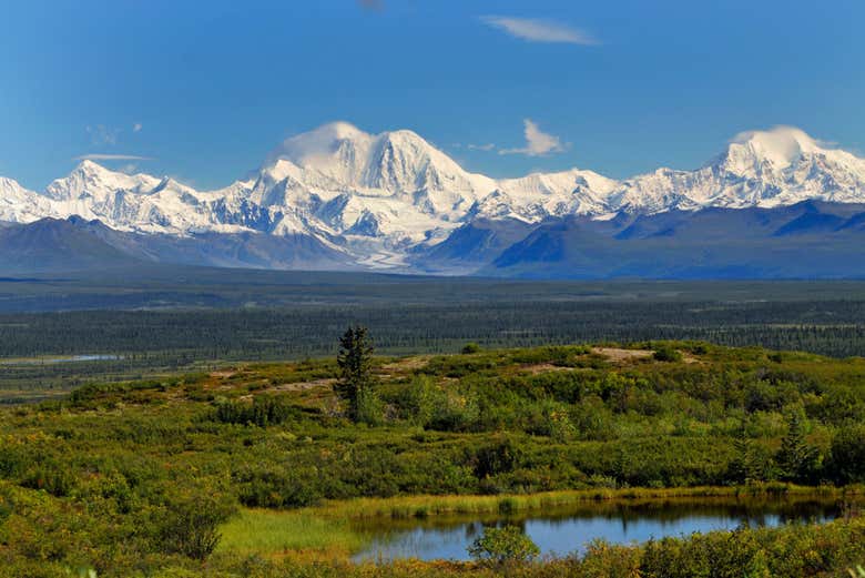 Montañas en el Parque Nacional Denali 