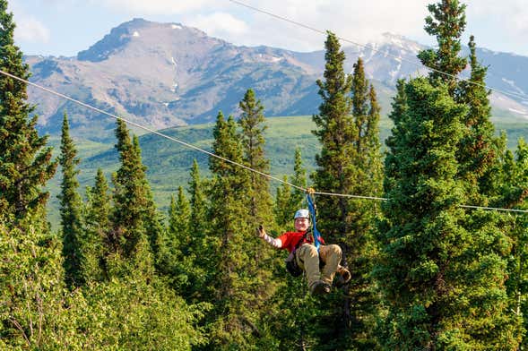Tirolina en el Parque Nacional Denali