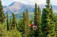 Tirolina en el Parque Nacional Denali