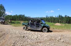 Tour en buggy por el Parque Nacional Denali