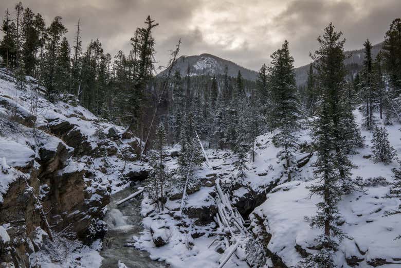 Le Rocky Mountains in inverno