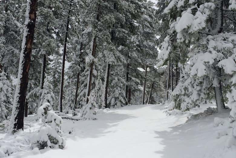 Il paesaggio innevato delle Rocky Mountains