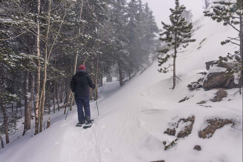 Tour delle Rocky Mountains