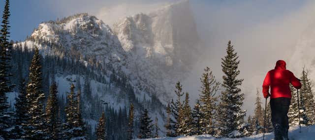 Passeio com raquetes de neve pelas Montanhas Rochosas