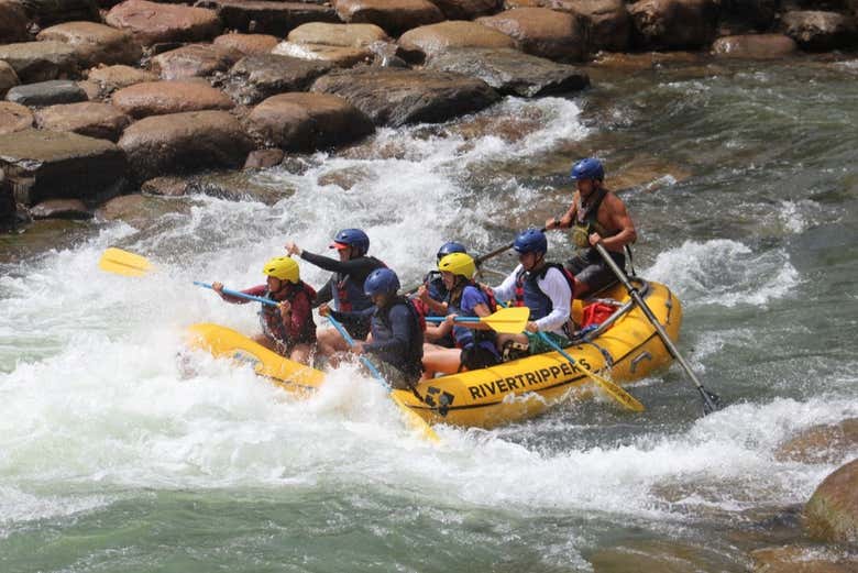 Franchissez les rapides de la rivière Animas