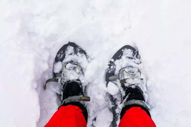 Snowshoes for the tour
