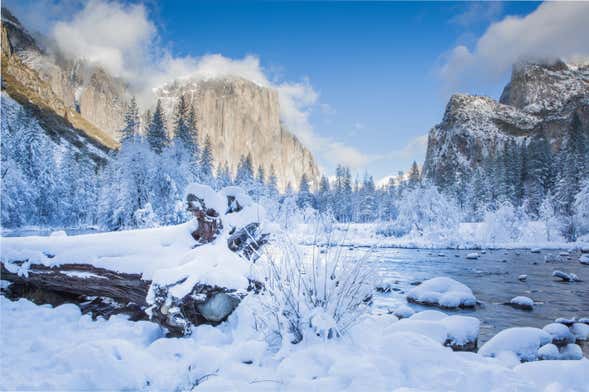 Yosemite Snowshoe Tour