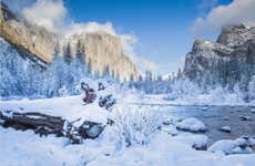 Balade en raquettes à Yosemite