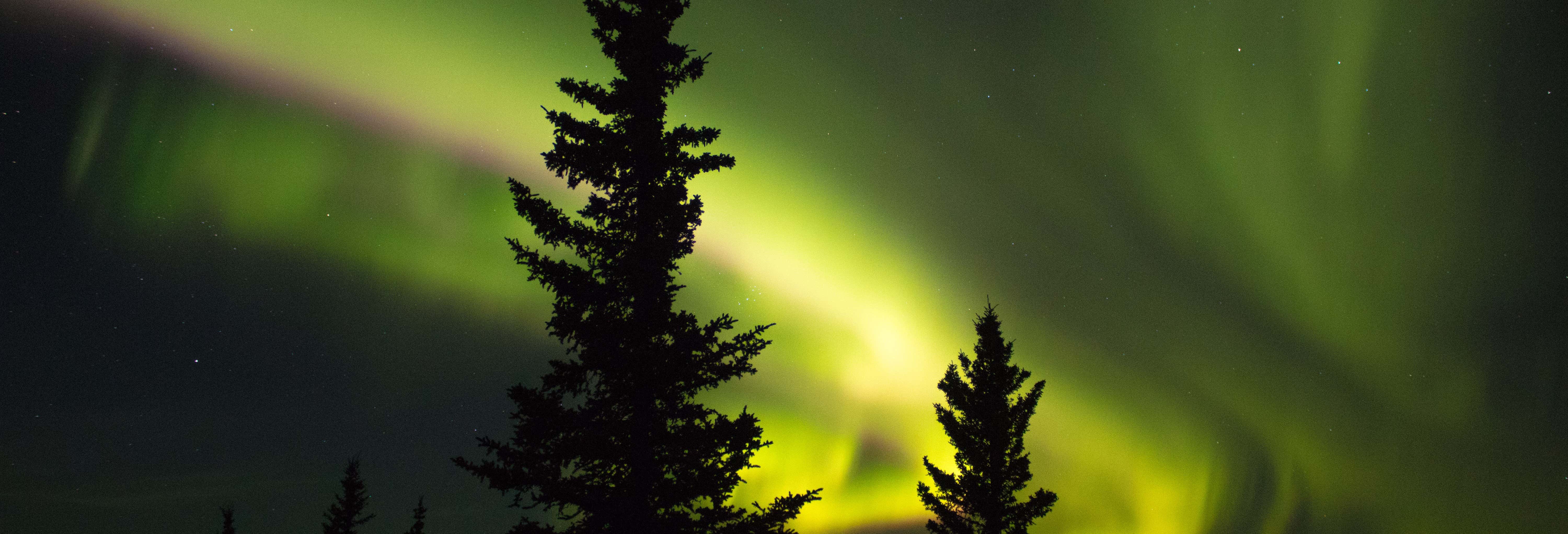 Excursões de um dia em Fairbanks