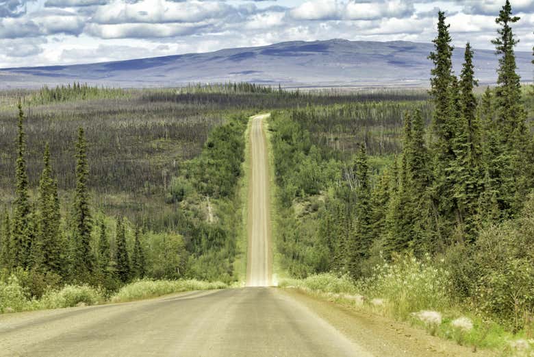 Route menant au Cercle polaire arctique