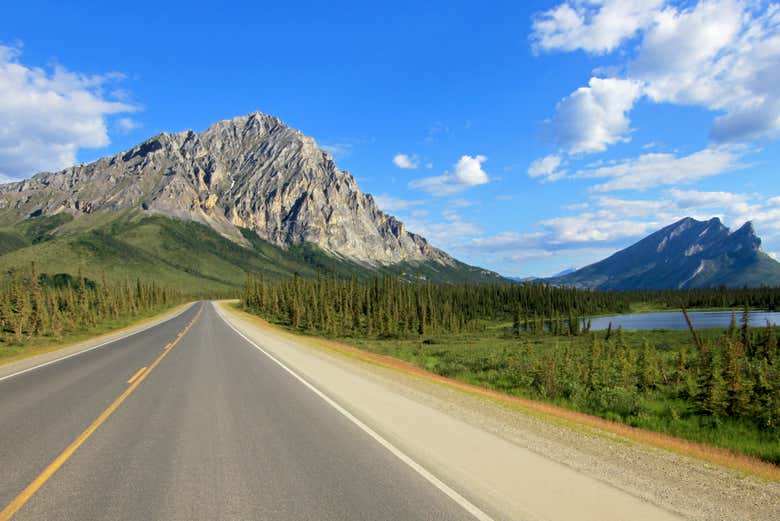 Voyagez sur la Dalton Highway depuis Fairbanks