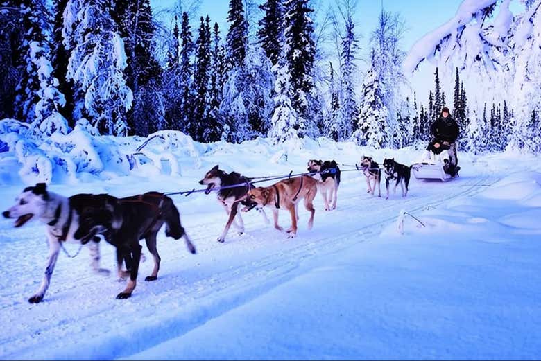 Recorriendo los paisajes nevados de Alaska