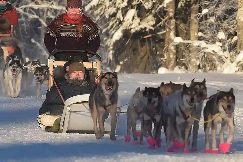Disfrutando del trineo de perros huskies