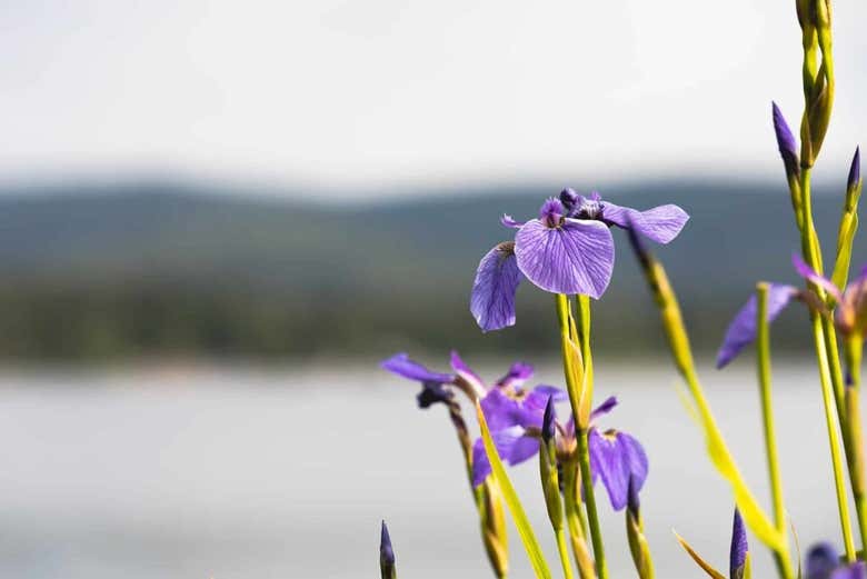 Una giornata a contatto con la natura