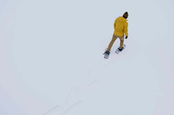 Passeio com raquetes de neve por Fairbanks