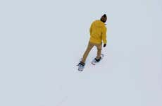 Paseo con raquetas de nieve por Fairbanks