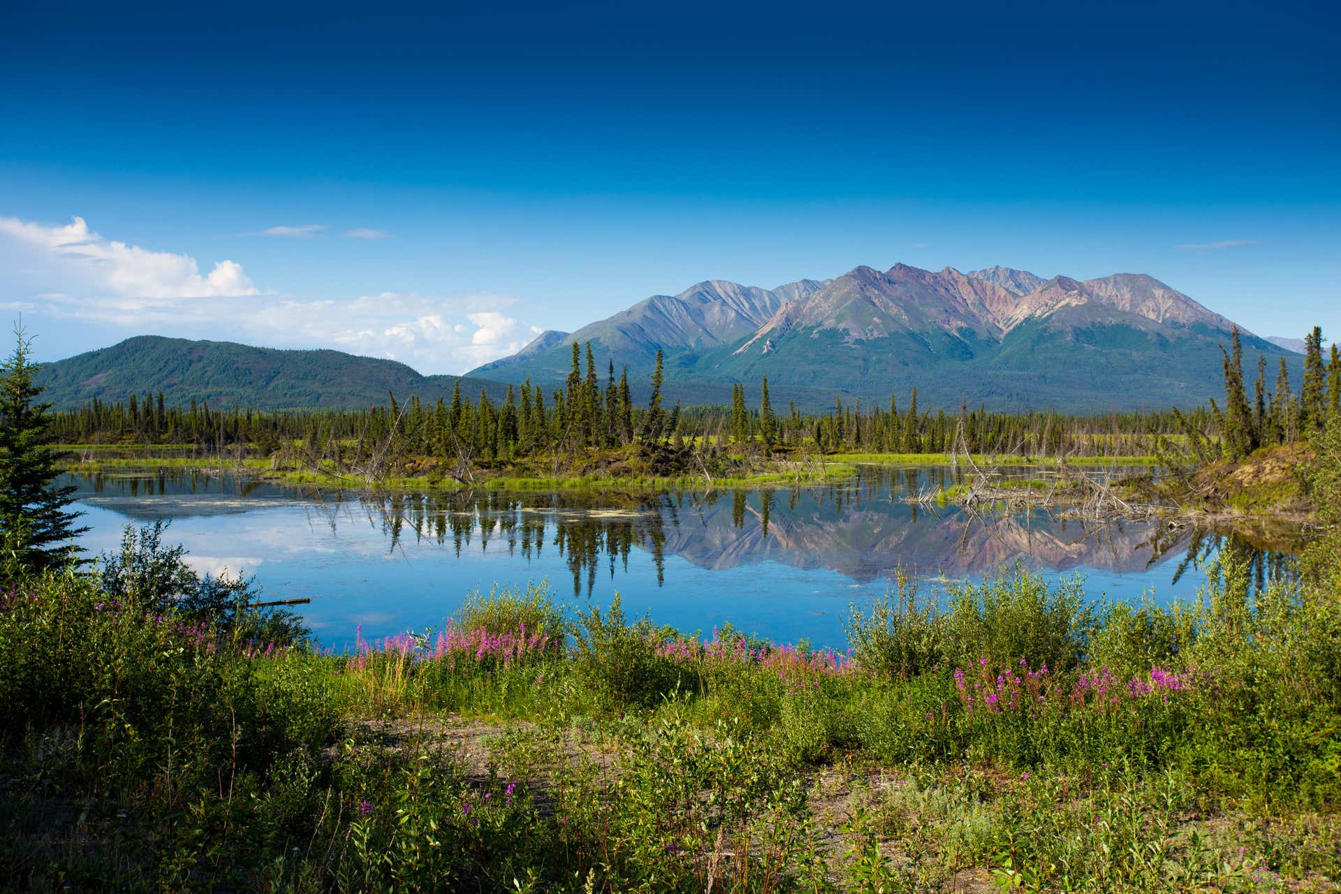 Salcha, Delta Junction & Summit Lake Day Trip from Fairbanks