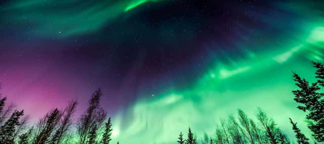 Tour de la aurora boreal