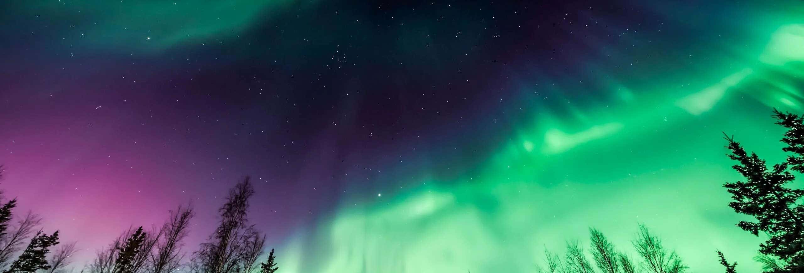 Day trips in Fairbanks