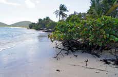 Escursione sull'isola di Culebra in catamarano