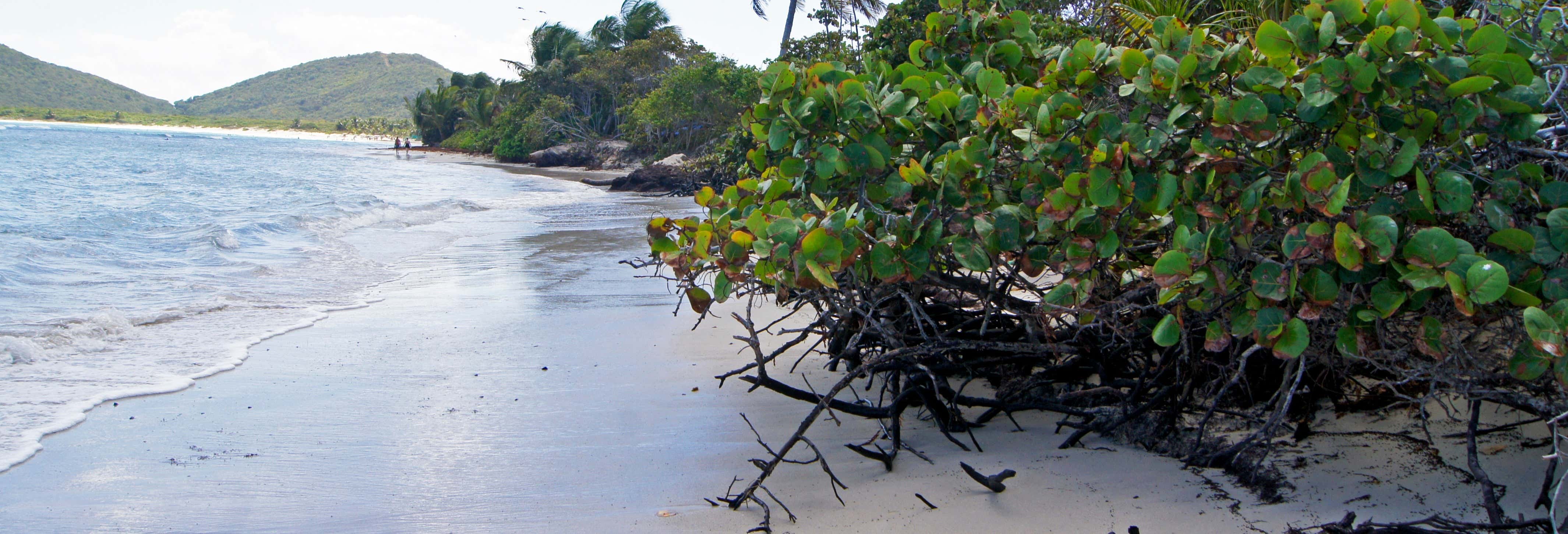 Boat tours in Fajardo